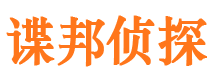 临安寻人公司